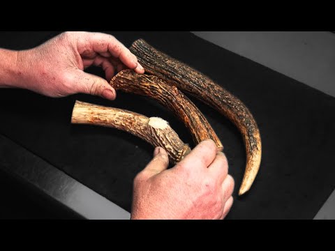 How to EASILY restore color to Stag and Deer Antler