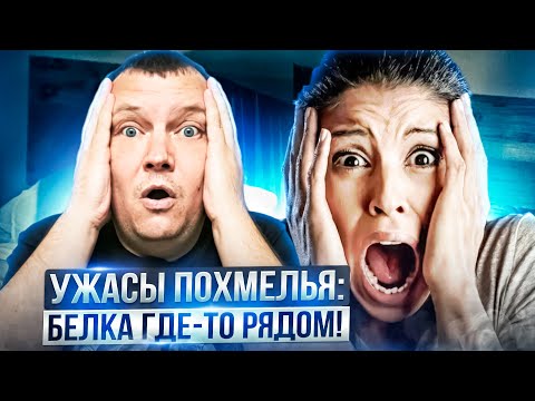 Hangover Horrors: The Squirrel Is Somewhere Nearby!