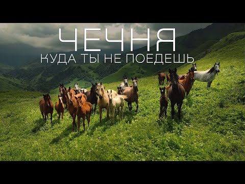 Горы, Склепы, Медведи ЧЕЧНИ /ГАЛАНЧОЖ ☝ выживание в дикой природе. Удивительные находки Кавказа