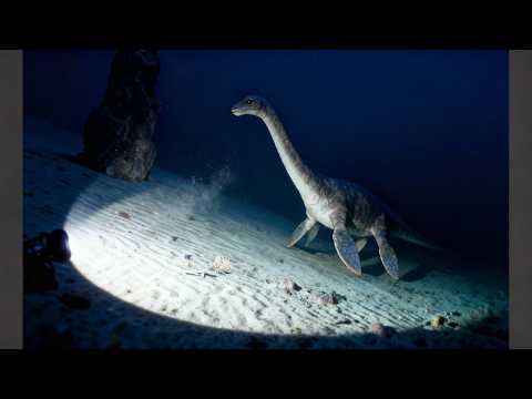 You Won't Believe What Navy Found in Ocean Trench