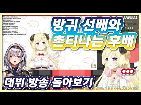 비공개 데뷔 방송을 보며 괴로워하는 양이모 (홀로라이브 / 츠노마키 와타메)