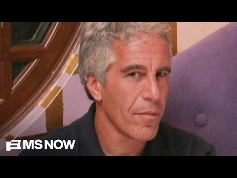 'I don’t buy it': Oversight Dem torches Epstein associate’s credibility