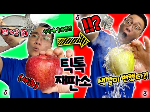 5초만에 사과색깔 바꾸는 방법?! 보고도 못 믿겠어!! [틱톡재판소 48탄]