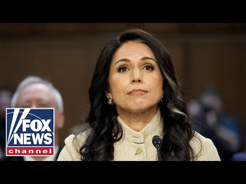 White House denies rumors Tulsi Gabbard could be removed