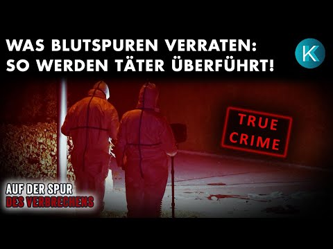 Auf der Spur des Verbrechens: DNA, Blutspuren & forensische Durchbrüche | KrimiKollegen