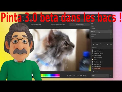 Linux, Pinta 3.0 beta dans les bacs !