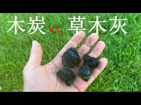木炭为什么不能作肥料? 木炭和草木灰有什么区别？Biochar, charcoal 和horticultural charcoal