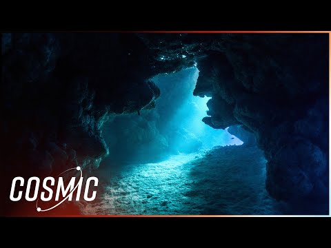 Searching For Atlantis: Inside The Deep Sea Expedition