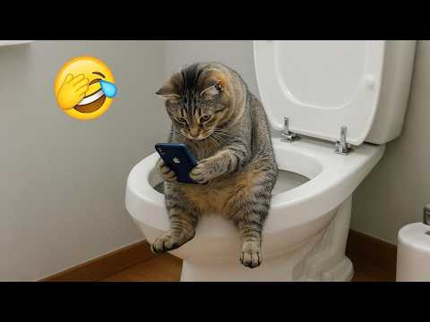 Funniest Cats and Dogs Clip 2025😼🐶You Laugh You Lose😜