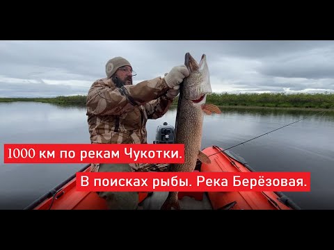 1000 км по рекам Чукотки. В поисках рыбы. ч.1