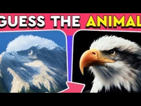 Guess the hidden Animals #guess #quiz #puzzle #gk 