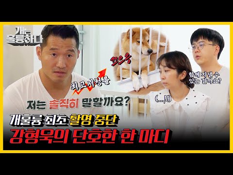 [#피크타임] ✨최고 분당 시청률✨개훌륭 최초, 보호자의 선택을 위한 촬영 중단 | #개는훌륭하다 | Dogs Are Incredible | KBS 211004 방송