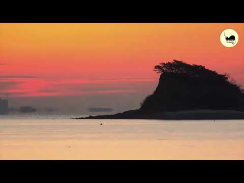 Contrabass Deep Sleep Music – 8 Hours of Low Frequency Healing. 콘트라베이스 저주파 숙면 음악 8시간 | 깊은 수면과 회복