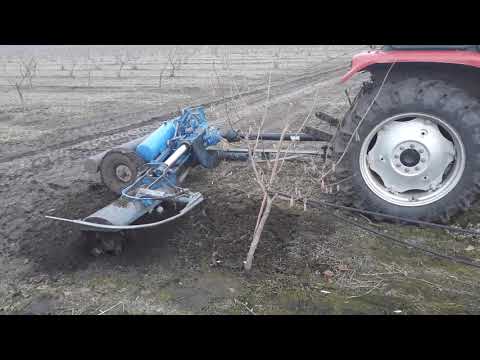 Сад фундука Обробка приштамбової зони