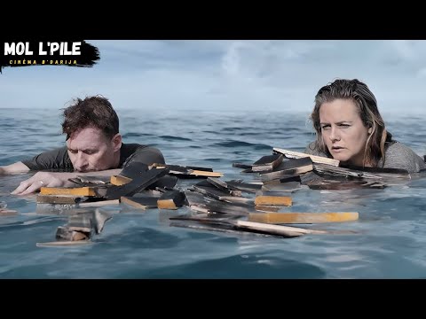 رجل وزوجته إستيقظوا من النوم فوجدوا نفسهم وسط المحيط😰 وبجانبهم أسماك القرش😱||ملخص🎦 𝐓𝐡𝐞 𝐑𝐞𝐪𝐮𝐢𝐧