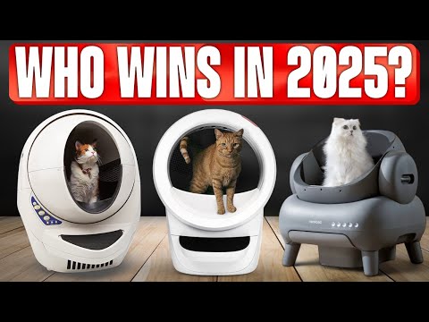 TOP 5 Best Automatic Litter Boxes 2025