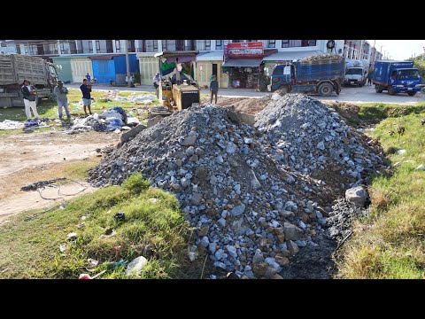 Great Start to the Project! Smooth Driver Work in Action Bulldozer & Dump Trucks Moving Stone & Soil