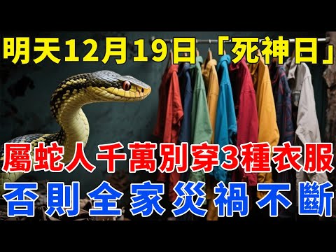 屬蛇人危險！明天12月19日，農歷十月三十是「死神日」，這3種衣服千萬別穿，否則恐招黴運，全家災禍不斷，神仙都難救！【梵心若素】#生肖 #運勢 #風水 #財運 #命理
