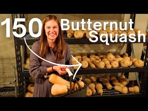 How we eat 3-4 squash each week (Recipes included!)