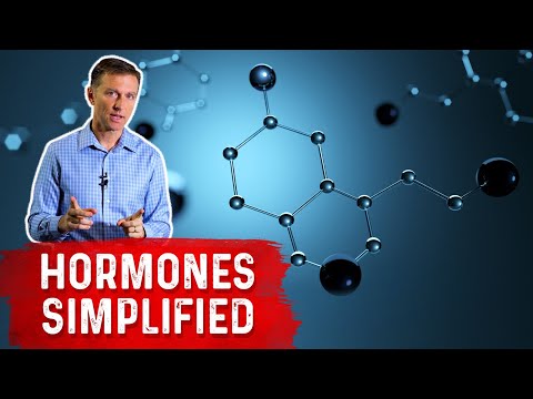 Hormones Out of Balance - This is Why! - Dr. Berg On Hormonal Imbalance