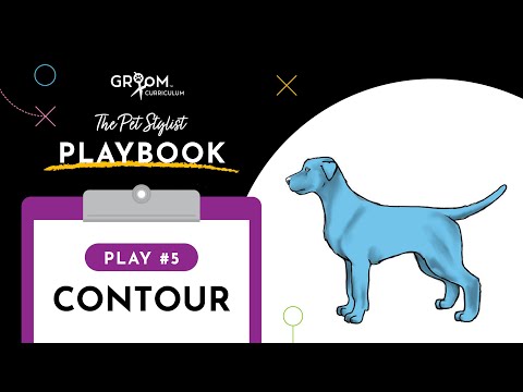Dog Grooming Tutorial | Contour Style (Pet Stylist Playbook #5)