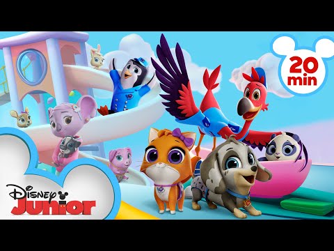 T.O.T.S. Season 3 Highlights | 20 Minute Compilation | T.O.T.S. | @disneyjr