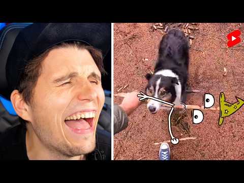 Paluten guckt Shorts bis ein Hund Millionär wird