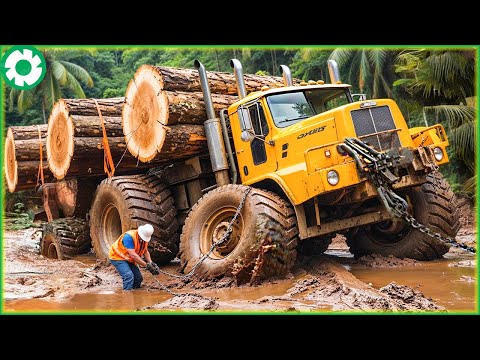 Extreme Dangerous Fastest Big Chainsaw Cutting Tree Machines | Biggest Heavy Machinery Machines #8