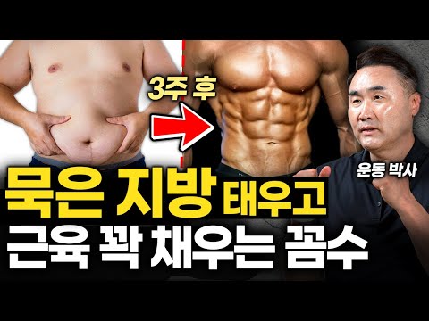 근손실 없이 출렁이는 지방만 싹 태우는 최고의 운동법 (홍정기 교수 1부)