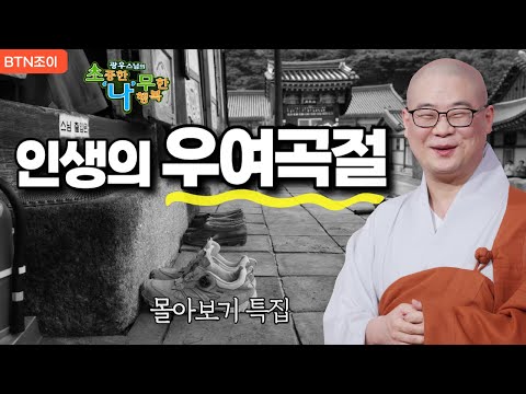 인생의 우여곡절 또한 자신이 지은 업보ㅣ광우스님 소나무 ㅣ 몰아보기 #복덕 #기도 #가피