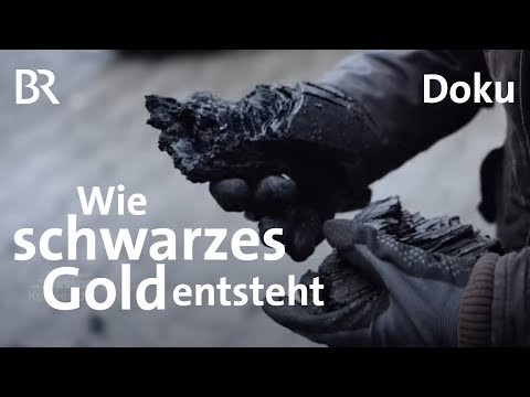 Der Pfeffer-Hof im Bayerischen Wald: Wie Terra Preta entsteht | Spessart und Karwendel | Doku | BR