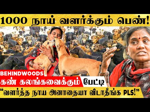 1000 நாய் வளர்க்கும் பெண்! - "நாய்கள்தான் என் குழந்தைகள்!" - கண் கலங்கவைக்கும் பேட்டி