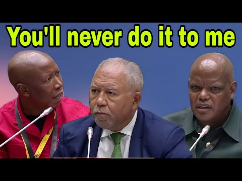 Julius Malema blasts Senior Counsel for being rude to Khomotso Phahlane.