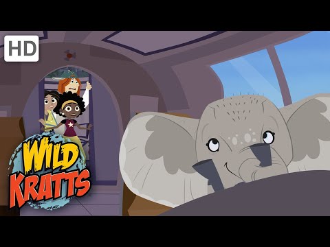 Wild Kratts | Elephant in the Room | Full Episode | Season 1
