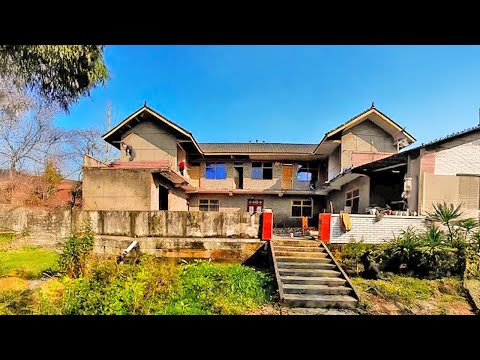 Talented Guy Renovated an Abandoned House for $500 and Lives With His Dog