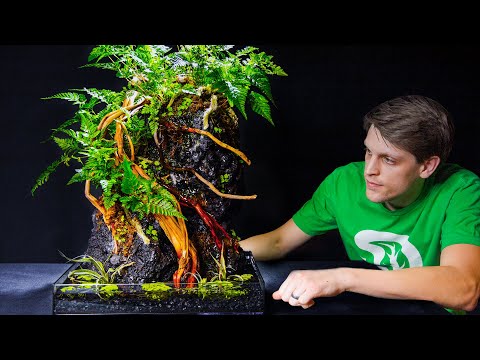 DIY Self-Watering Fern Mountain Table Top Planter