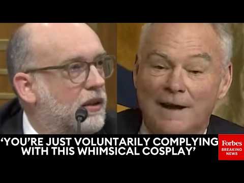 WATCH: Tim Kaine And Russell Vought Explode At Each Other Over 'Department Of War' Renaming