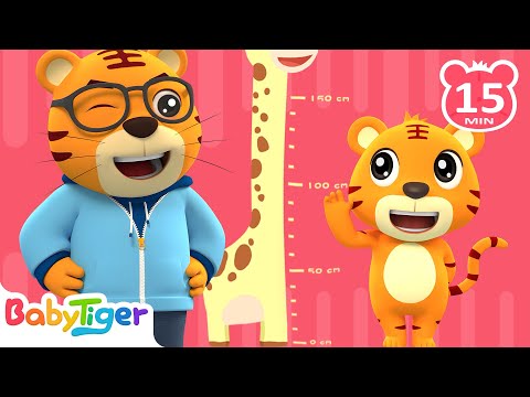 身體棒棒，長高高 + 更多兒歌🎵 | 小毛驢 | 兒童歌曲合集 | 我的身體最神氣 | 童謠串燒 | 貝樂虎BabyTiger