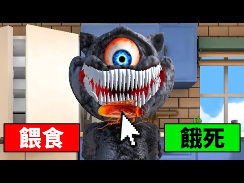 我養的貓咪為什麼變成這樣！？😱【Talking Juan】