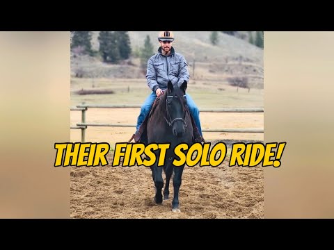 Everyone Wanted To See Fiancé’s First Time Riding My Rescue Gelding All On His Own 😳