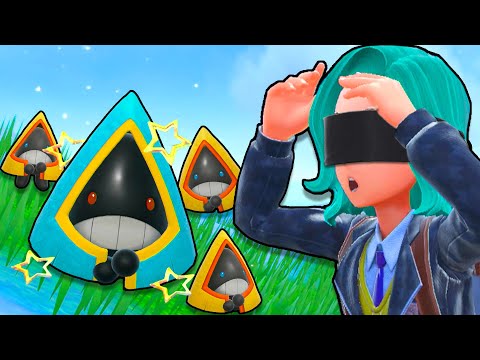 Pokemon, But I Can't See ANYTHING