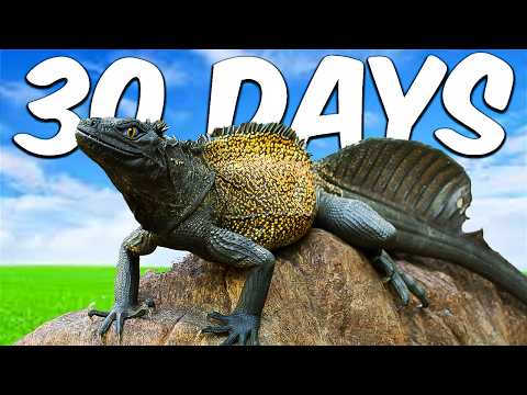 Keeping A Spinosaurus As A Pet!