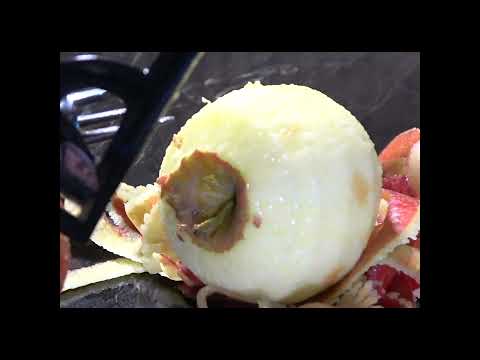 1898's apple peeler !