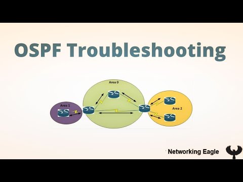 Real Time OSPF Troubleshooting   | CCNP | Hindi