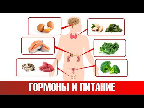 Гормональный дисбаланс? Баланс гормонов с помощью питания🙌
