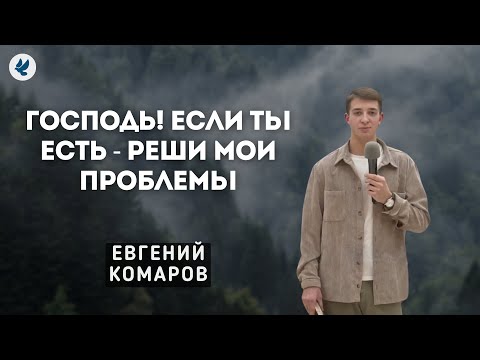 Свидетельство | Евгений Комаров