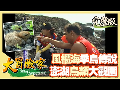 【大冒險家】澎湖風櫃海 巨大季鳥傳說（員貝嶼釣小管／雞善嶼海蝕洞穴／目斗嶼／輕航機前往鳥嶼探勘）│2001.09.09│92集完整版