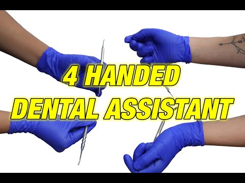 Four 4 Handed Dental Assistant Possibilities