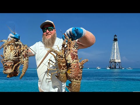 5 Days Catching LOBSTER in the FLORIDA KEYS! Catch Clean Cook Florida Lobster Tails