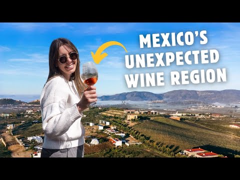 48 Hours in INCREDIBLE Valle de Guadalupe, Mexico | Vineyards, Food, & MORE!